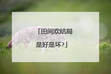 田间欢结局是好是坏?
