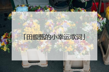 田馥甄的小幸运歌词