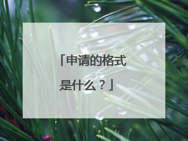 申请的格式是什么？