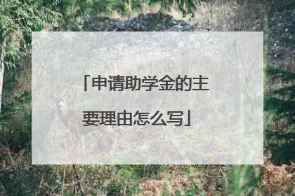 申请助学金的主要理由怎么写