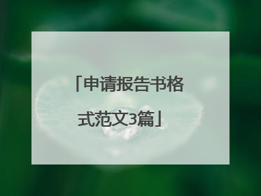 申请报告书格式范文3篇