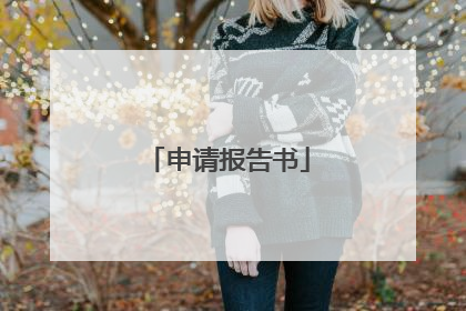 申请报告书