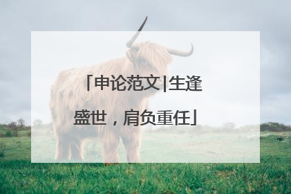 申论范文|生逢盛世,肩负重任