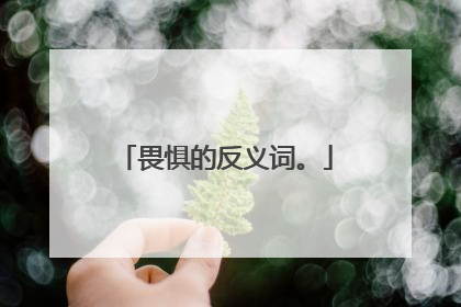 畏惧的反义词。