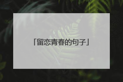 留恋青春的句子