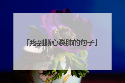 疼到撕心裂肺的句子
