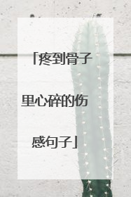 疼到骨子里心碎的伤感句子