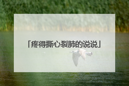 疼得撕心裂肺的说说