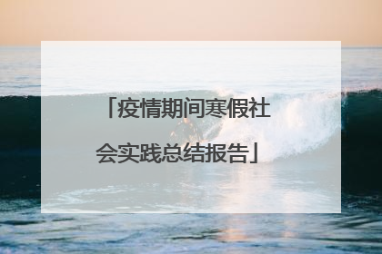 疫情期间寒假社会实践总结报告