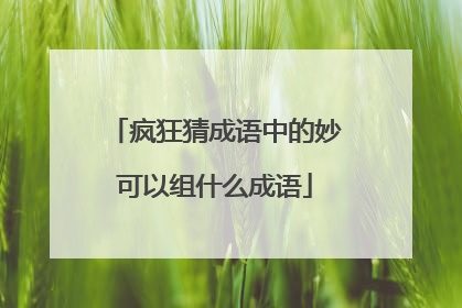 疯狂猜成语中的妙可以组什么成语