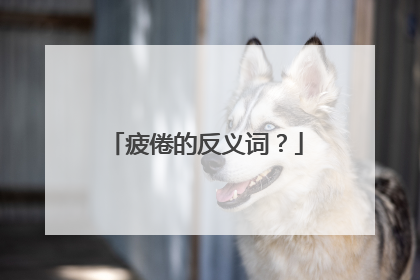 疲倦的反义词？