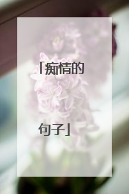 痴情的句子