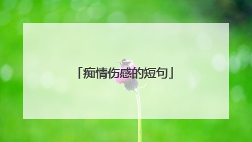 痴情伤感的短句