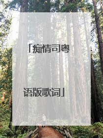 痴情司粤语版歌词