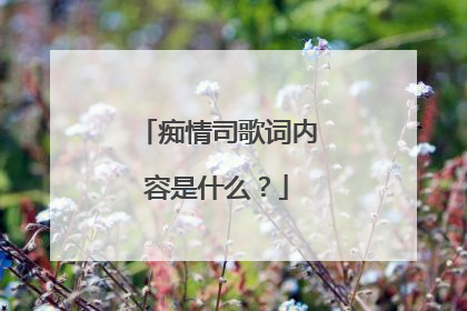 痴情司歌词内容是什么？