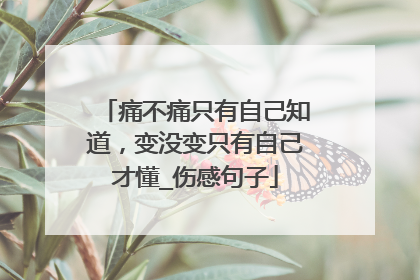 痛不痛只有自己知道，变没变只有自己才懂_伤感句子