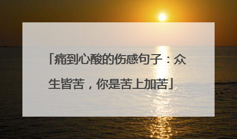 痛到心酸的伤感句子:众生皆苦,你是苦上加苦