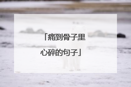 痛到骨子里心碎的句子