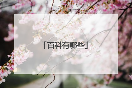 百科有哪些