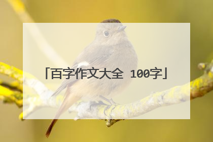 百字作文大全 100字