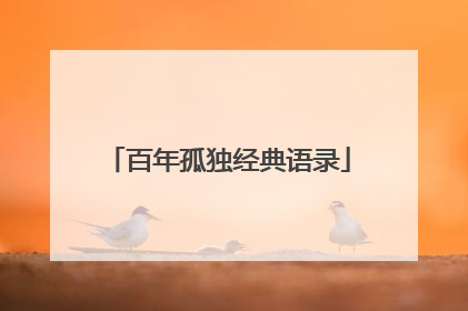 百年孤独经典语录