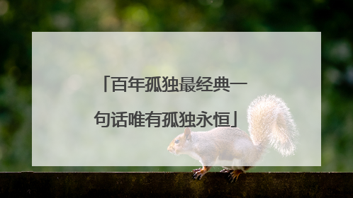 百年孤独最经典一句话唯有孤独永恒