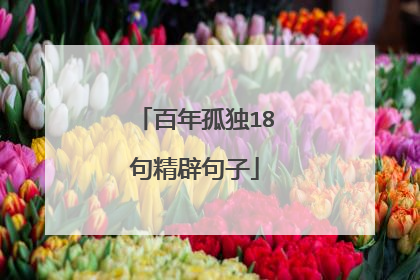 百年孤独18句精辟句子