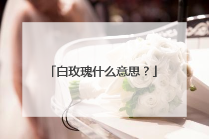 白玫瑰什么意思？