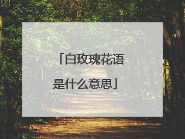 白玫瑰花语是什么意思
