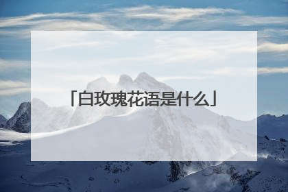 白玫瑰花语是什么