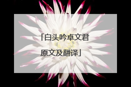 白头吟卓文君原文及翻译