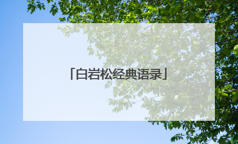 白岩松经典语录