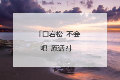 白岩松 不会吧 原话?