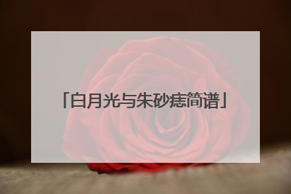 白月光与朱砂痣简谱