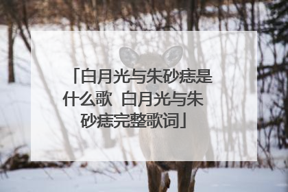 白月光与朱砂痣是什么歌 白月光与朱砂痣完整歌词