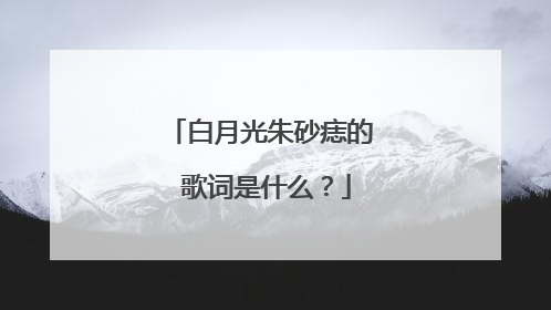 白月光朱砂痣的 歌词是什么?