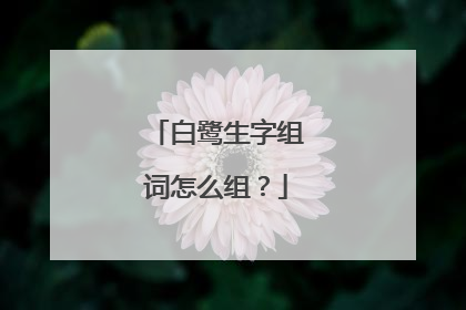 白鹭生字组词怎么组?