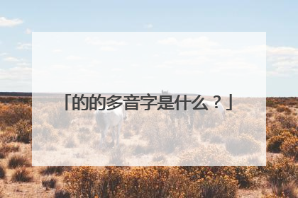 的的多音字是什么？