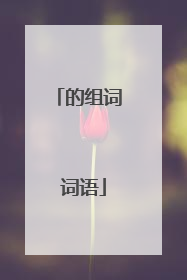 的组词 词语