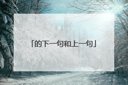 的下一句和上一句
