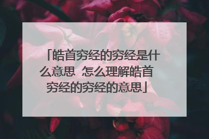 皓首穷经的穷经是什么意思 怎么理解皓首穷经的穷经的意思