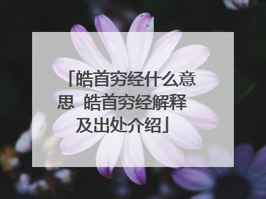 皓首穷经什么意思 皓首穷经解释及出处介绍