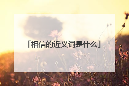 相信的近义词是什么