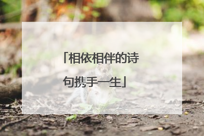 相依相伴的诗句携手一生