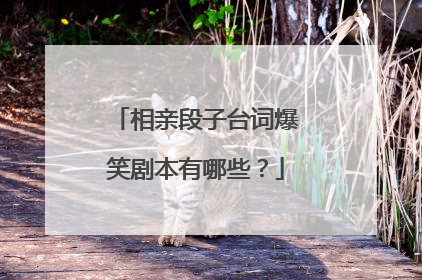 相亲段子台词爆笑剧本有哪些？