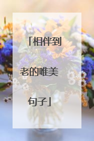 相伴到老的唯美句子