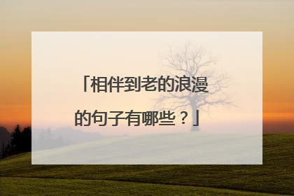 相伴到老的浪漫的句子有哪些？