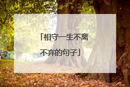 相守一生不离不弃的句子