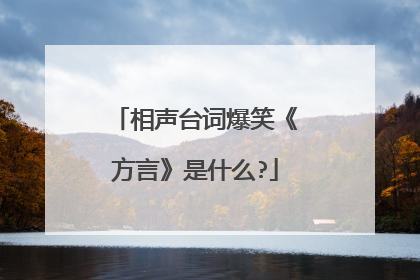 相声台词爆笑《方言》是什么?