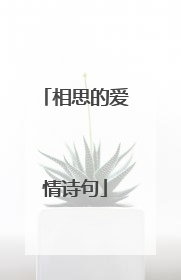 相思的爱情诗句